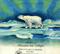 Bear, мишка на севере